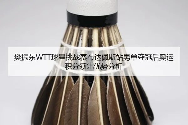 fan-zhen-dong-qiu-xing-tiao-zhan-sai-bu-da-pei-si-zhan-nan-dan-duo-guan-hou-ao-yun-ji-fen-ling-xian-you-shi-fen-xi-3-516.jpg