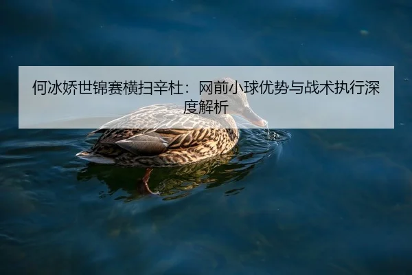 he-bing-jiao-shi-jin-sai-heng-sao-xin-du-wang-qian-xiao-qiu-you-shi-yu-zhan-shu-zhi-xing-shen-du-jie-xi-2-846.jpg